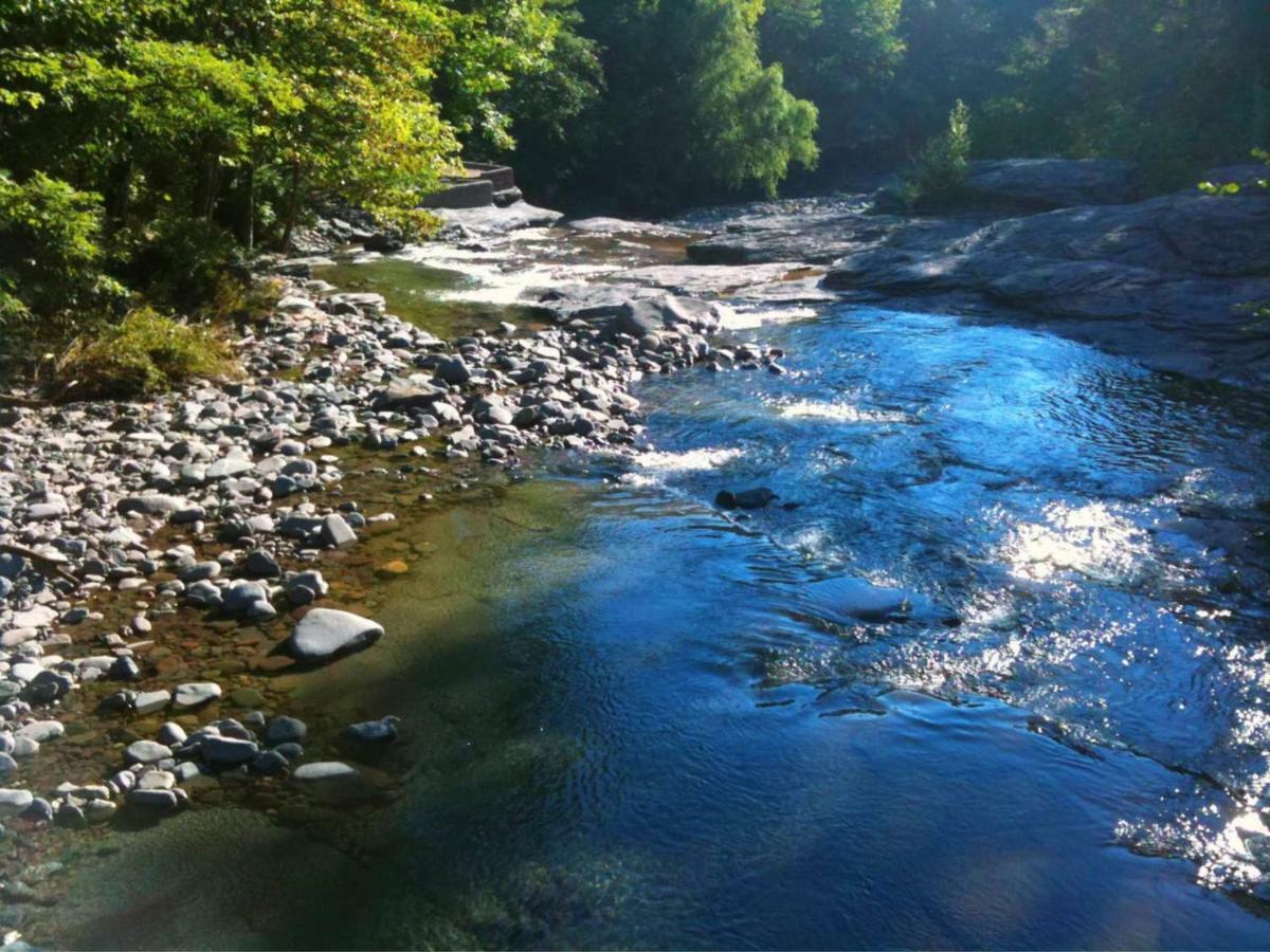 Play All Day - Sleep By The Stream At Night - Swimming Hole Palenville Ngoại thất bức ảnh